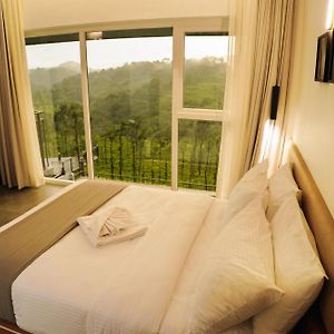 Suite Mountain View