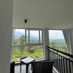 Studio Mountain View